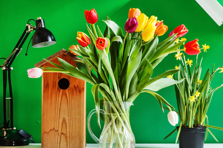 colorful tulipsの写真素材