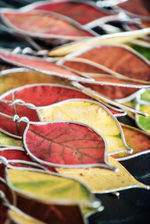 autumn leavesの写真素材