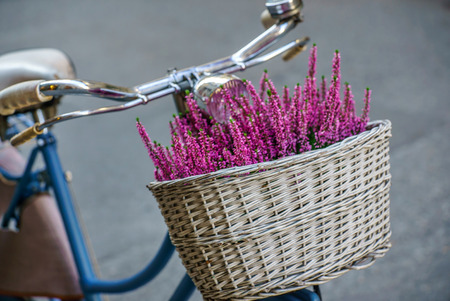 Bicycle with flowersの写真素材