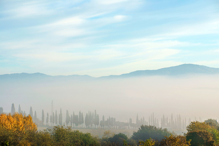 nice Tuscanyの写真素材