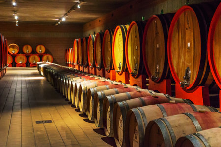 wine barrels