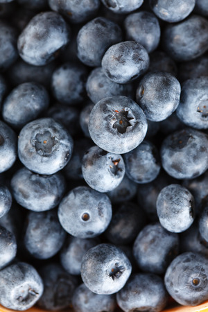 fresh blueberryの写真素材