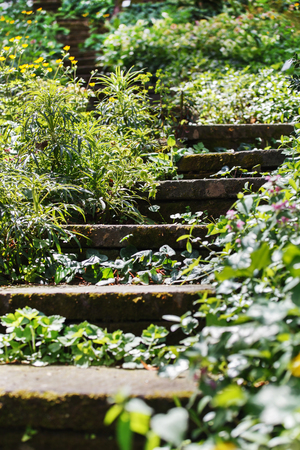 Old stone stairsの写真素材