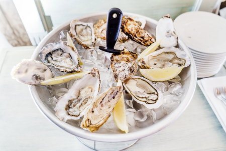 oystersの写真素材