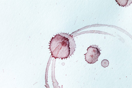 wine stain
