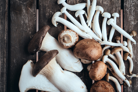 Variety of Mushroomsの写真素材