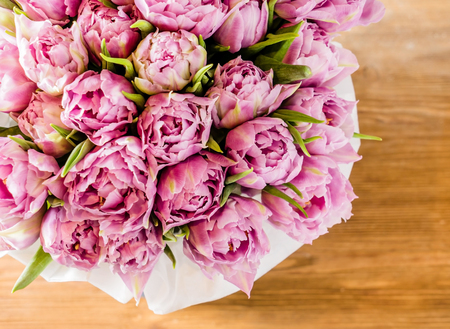 pink tulipsの写真素材