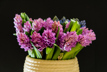 nice spring flowersの写真素材