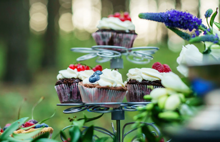 summer cupcakesの写真素材