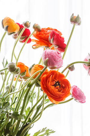 nice flowersの写真素材