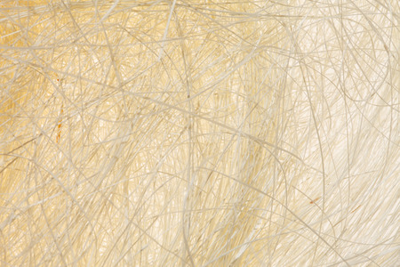 Natural sisalの写真素材