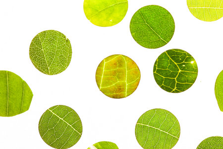 nature background