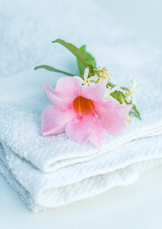 spa conceptの写真素材