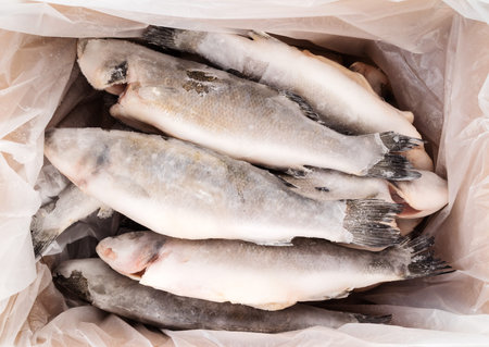 frozen fish