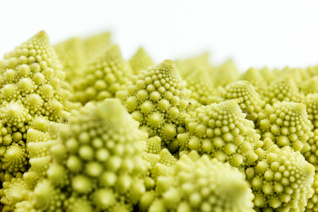 romanesko broccoliの写真素材