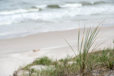Baltic sea
