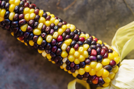 rainbow corn