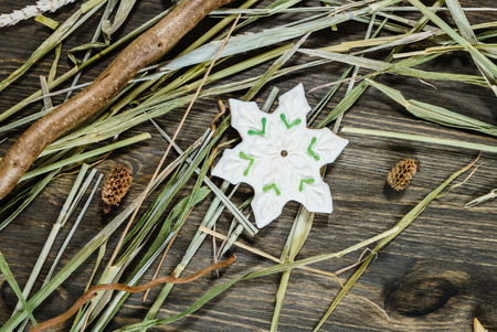 Christmas cookiesの写真素材