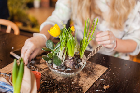 Gardener planting spring flowerの写真素材