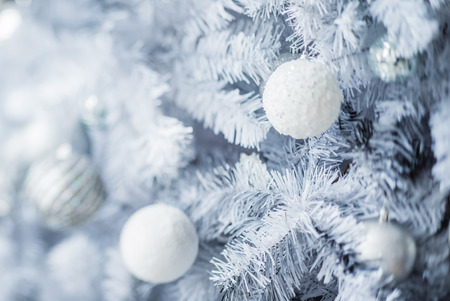 Christmas treeの写真素材