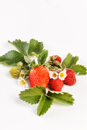 fresh strawberriesの写真素材