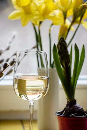 white wineの写真素材