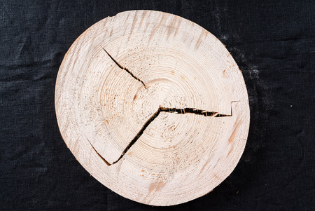 wood sliceの写真素材