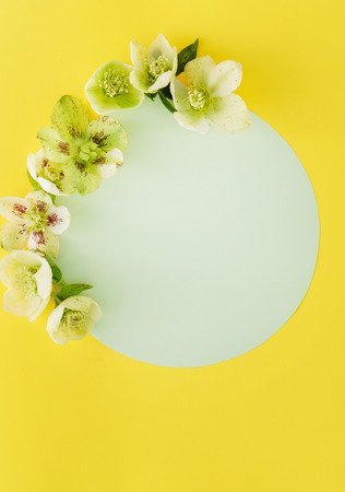 spring flowersの写真素材