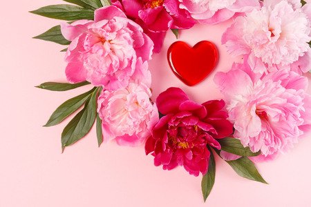nice peoniesの写真素材