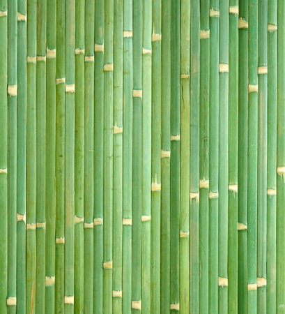 bamboo textureの写真素材