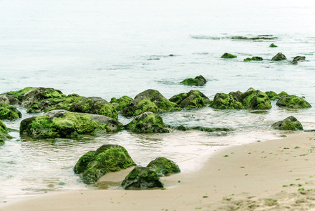 Atlantic oceanの写真素材