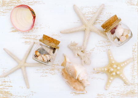 sea collectionの写真素材