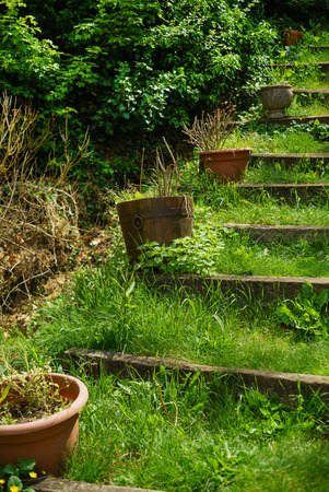 grass stepsの写真素材