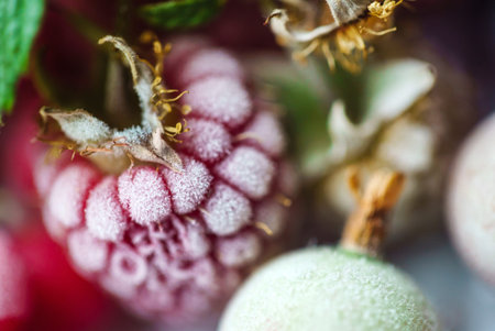frozen berries