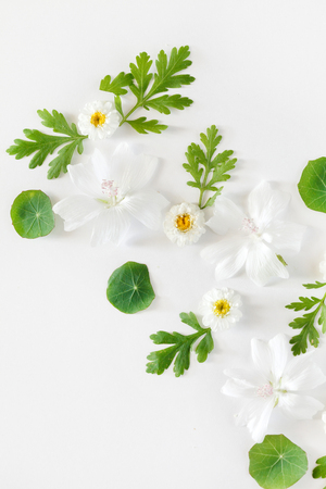 floral compositionの写真素材