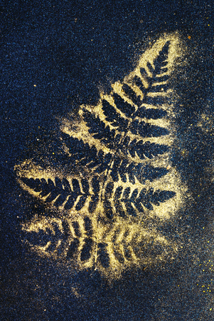 golden fernの写真素材