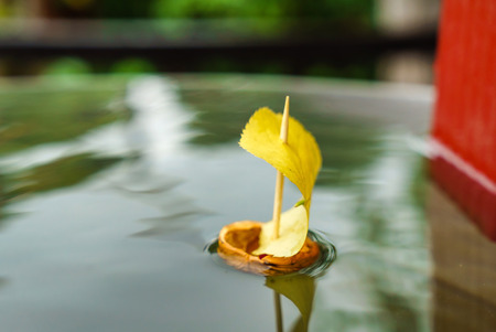 leaf shipの写真素材
