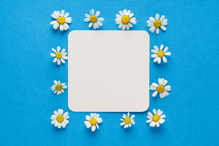 daisy flowers on the empty cardの写真素材