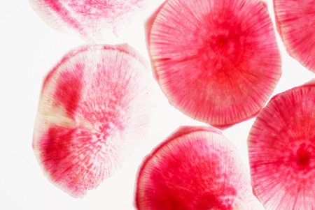 watermelon radishの写真素材