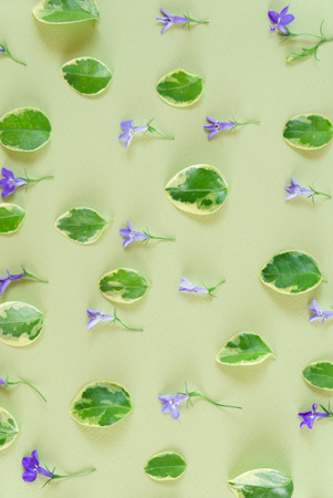 Flowers composition.の写真素材