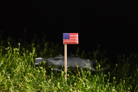 animal toys on the grass - ecological conpceptの写真素材