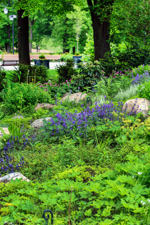 summer gardenの写真素材