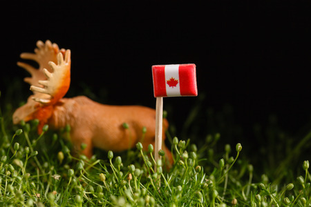 ecological concept close up viewの写真素材