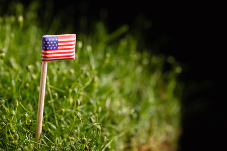Close up view American flag on green meadowの写真素材