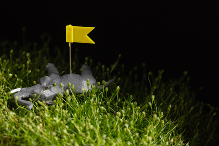 ecological concept with animal figure lying on lawnの写真素材