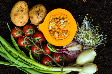 fresh organic vegetablesの写真素材