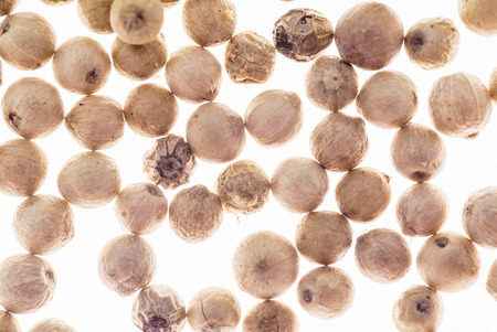 white pepper on whiteの写真素材