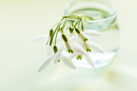 spring flowers in the vaseの写真素材