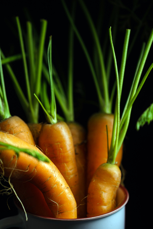 fresh carrots on blackの写真素材