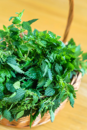 nettle in the basketの写真素材